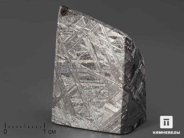 Метеорит Muonionalusta, 3,4х2,4х1,7 см, 270, фото 1