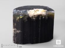 Турмалин полихромный, кристалл 2,7х2,2х1,9 см
