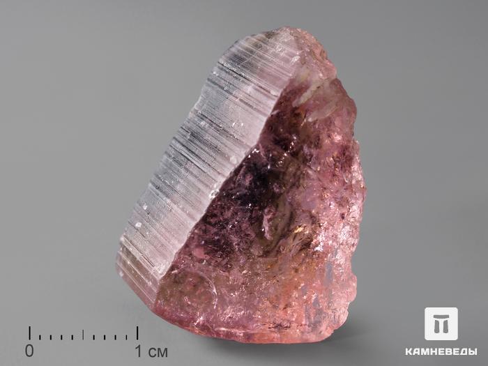 Турмалин арбузный, кристалл 2,9х1,8х1,7 см, 193, фото 1