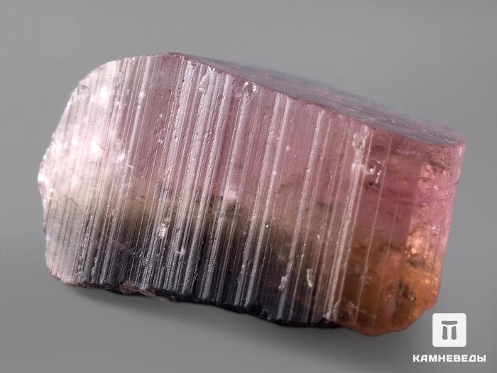 Турмалин арбузный, кристалл 2,9х1,8х1,7 см, 193, фото 2