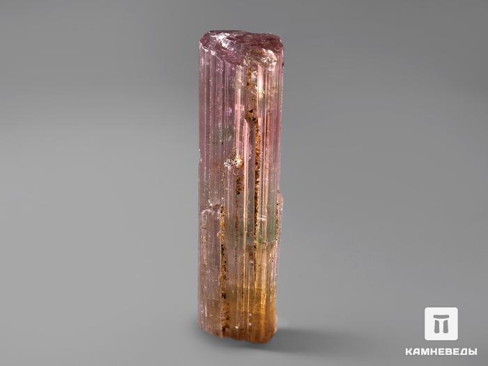 Турмалин полихромный, кристалл 3,7х1,1х1 см, 183, фото 2