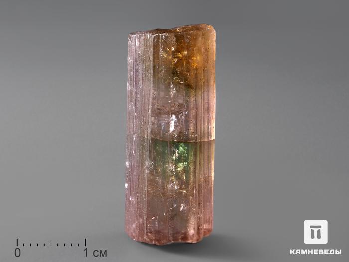 Турмалин полихромный, кристалл 3х1,3х1,1 см, 182, фото 1