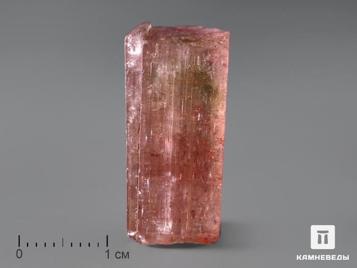 Турмалин (рубеллит), кристалл 2,6х1,3х1,1 см, 190, фото 1
