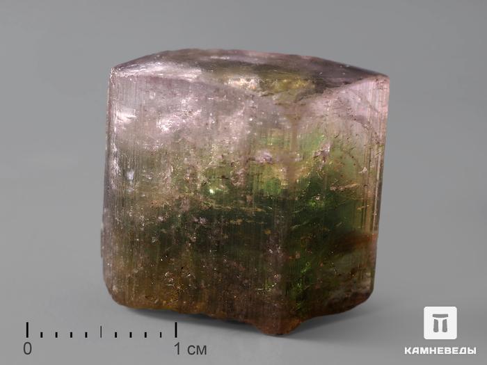 Турмалин полихромный, кристалл 1,8х1,6х1 см, 184, фото 1