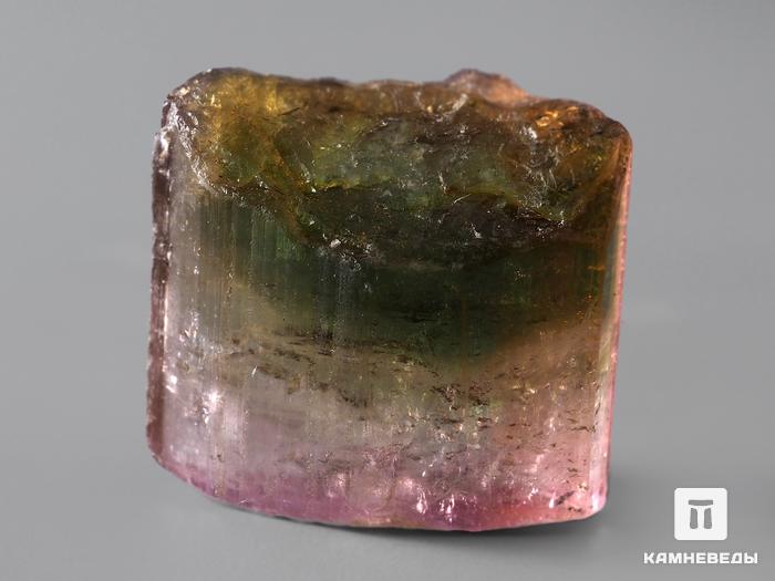 Турмалин полихромный, кристалл 1,8х1,6х1 см, 184, фото 2
