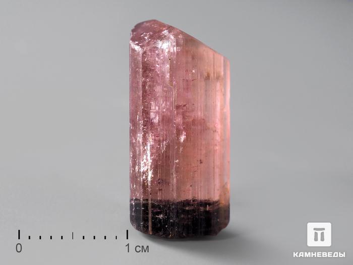 Турмалин арбузный, кристалл 2х1х0,8 см, 191, фото 1
