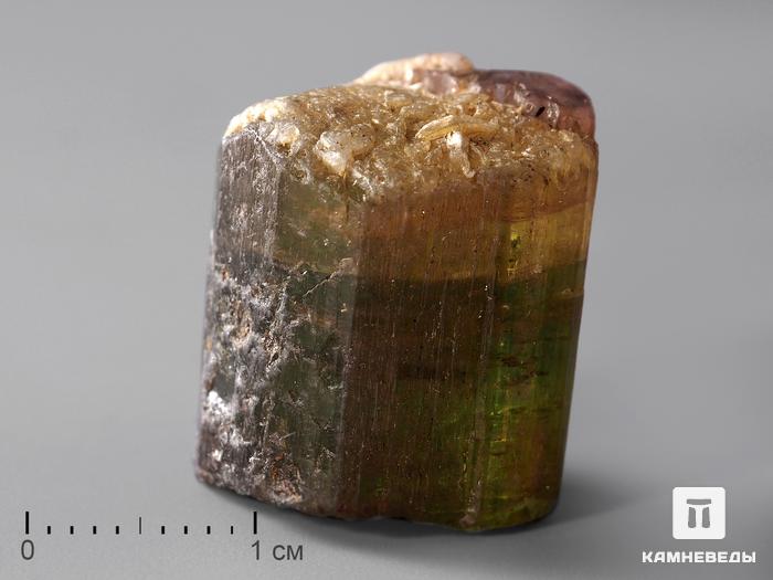 Турмалин полихромный, кристалл 2х1,6х1,4 см, 181, фото 1