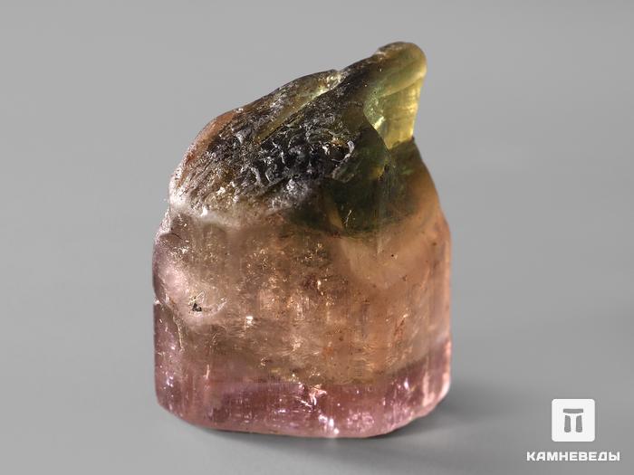 Турмалин полихромный, кристалл 1,6х1,5х1 см, 185, фото 2