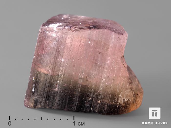 Турмалин арбузный, кристалл 1,7х1,4х1,1 см, 192, фото 1