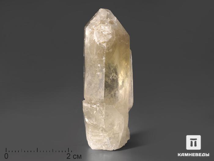 Цитрин, кристалл 4,5х1,5 см, 433, фото 1