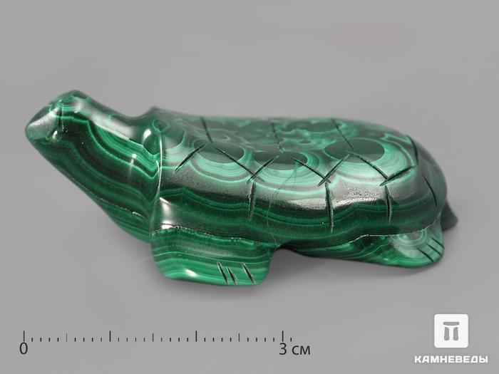 Черепаха из малахита, 5,8х4,2х2,1 см, 646, фото 1