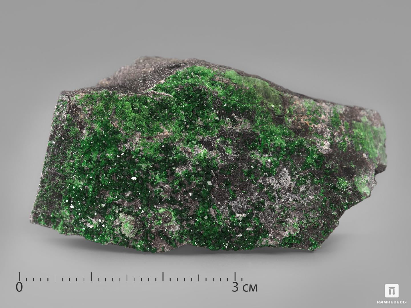 Уваровит (зелёный гранат), 4-6 см железная хватка графа соколова