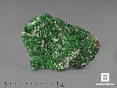 Уваровит, Гранат. Уваровит (зелёный гранат) в пластиковом боксе, 1,5-2 см
