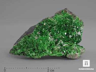 Гранат, Уваровит. Уваровит (зелёный гранат), 4,8х3х2 см