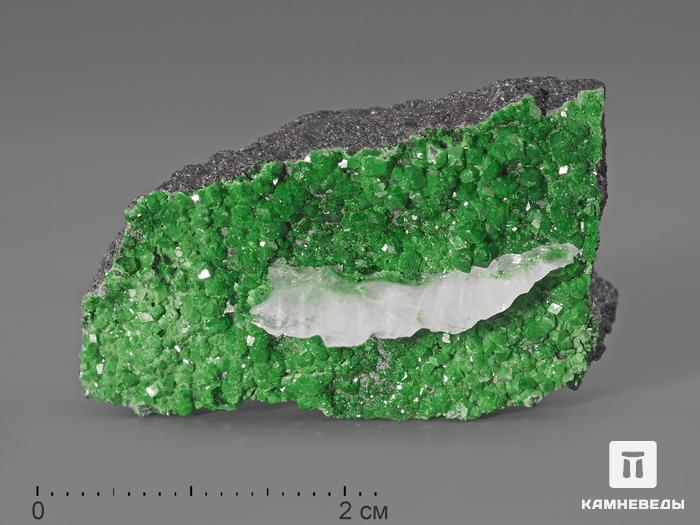 Уваровит (зелёный гранат), 3,9х2х1,3 см, 692, фото 1