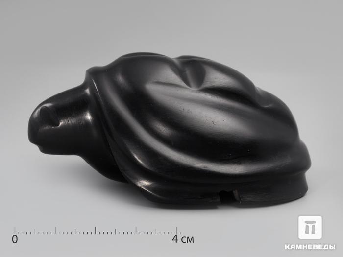 Черепаха из гагата, 8х5,8х3,9 см, 935, фото 1