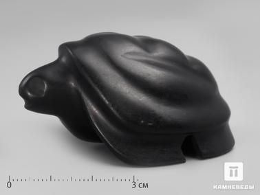 Гагат. Черепаха из гагата, 6,1х4,4х3,2 см
