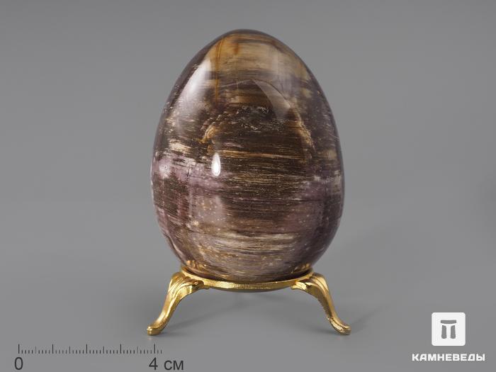 Яйцо из окаменелого дерева, 8х6 см, 856, фото 1