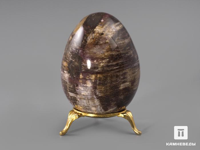 Яйцо из окаменелого дерева, 8х6 см, 856, фото 2