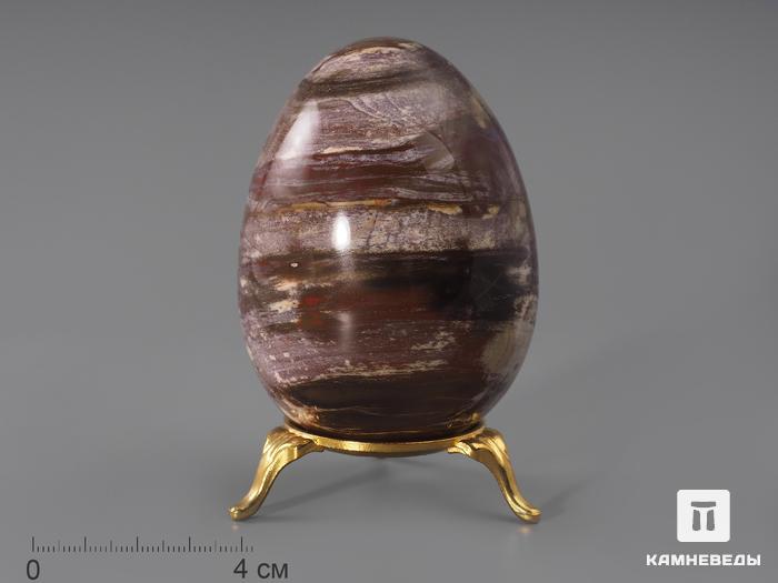 Яйцо из окаменелого дерева, 8,4х6,1 см, 22-81/4, фото 1