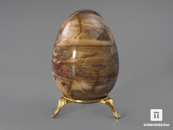 Яйцо из окаменелого дерева, 8,4х6,1 см, 22-81/4, фото 2