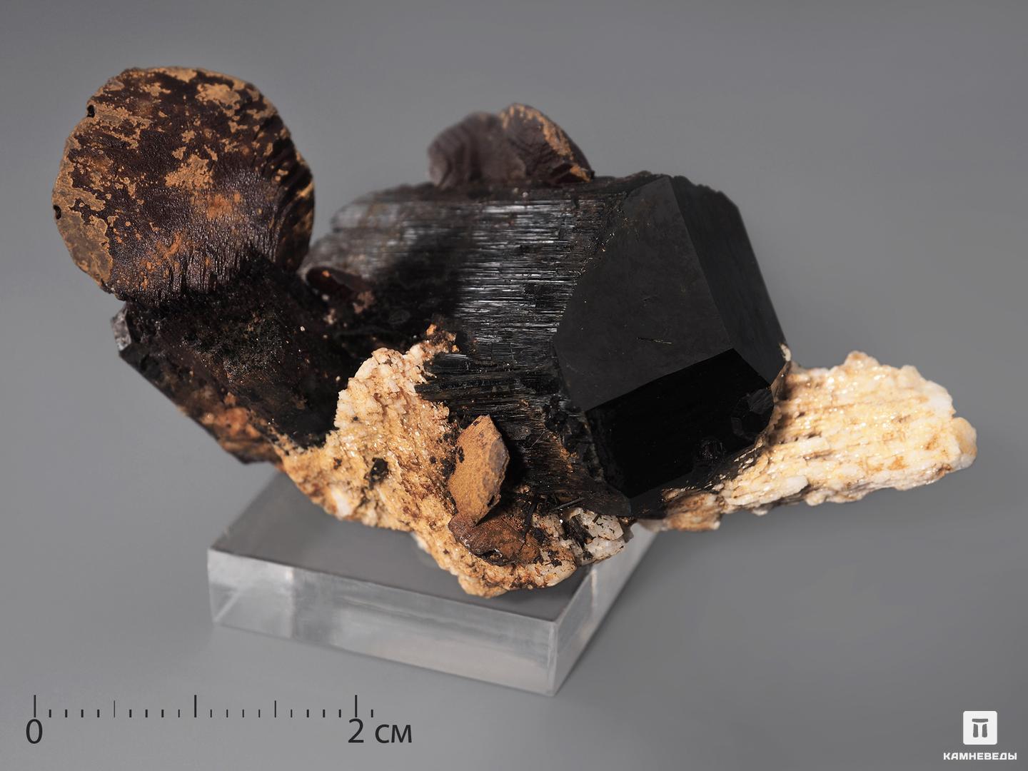Сидерит с шерлом (чёрным турмалином) на ортоклазе, 5,6х3х2,7 см оки чпоки анальная пробка с чёрным кристаллом
