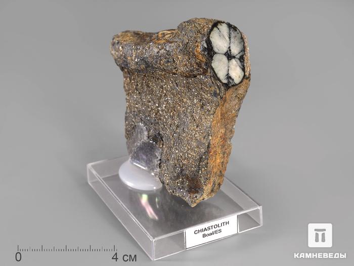 Андалузит (хиастолит), 8,3х8,2х3,8 см, 852, фото 1