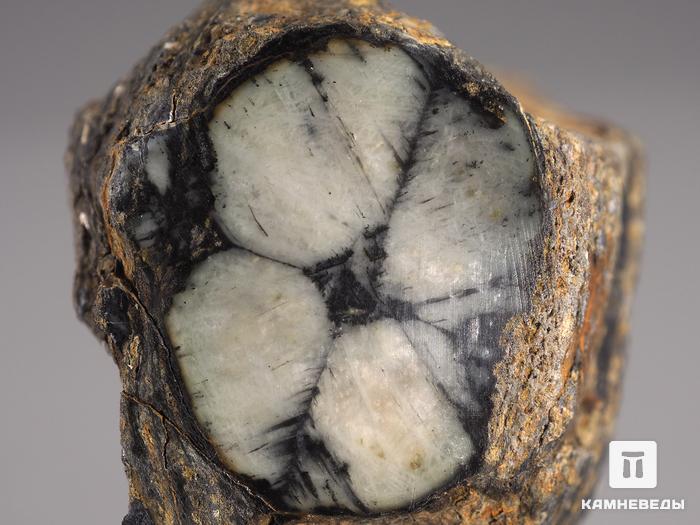 Андалузит (хиастолит), 8,3х8,2х3,8 см, 852, фото 2