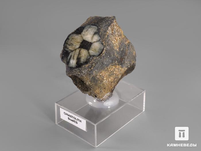 Андалузит (хиастолит), 6х5х3 см, 851, фото 2