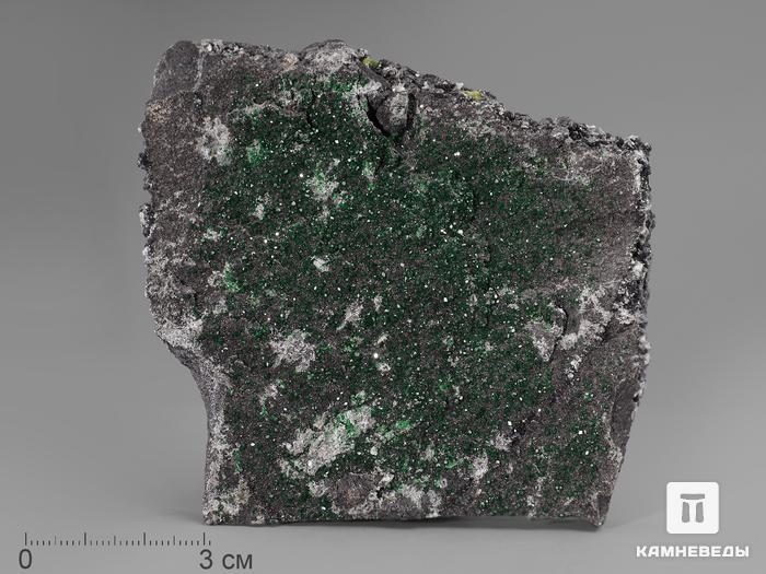 Уваровит (зелёный гранат), 9-12 см, 685, фото 2