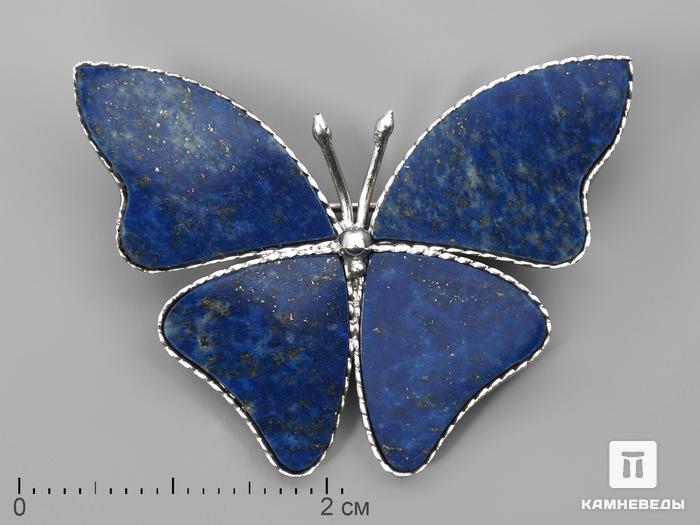 Брошь «Бабочка» с лазуритом, 3,7х2,7 см, 1220, фото 1