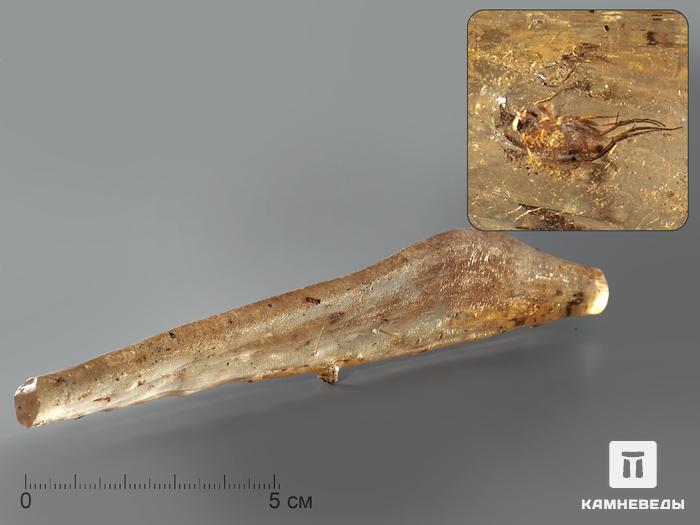 Мадагаскарский копал с инклюзами, 15х2,5 см, 1412, фото 1