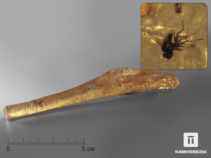 Мадагаскарский копал с инклюзами, 15х2,5 см, 1412, фото 5
