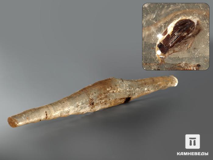 Мадагаскарский копал с инклюзами, 13,5-17,5 см, 1351, фото 1