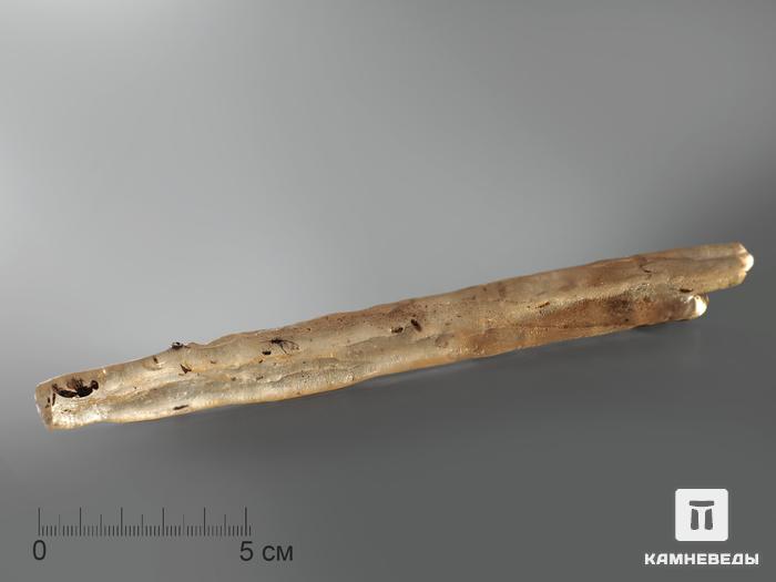 Мадагаскарский копал с инклюзами, 20,8х2,4х1,6 см, 1411, фото 2