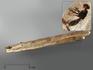 Мадагаскарский копал с инклюзами, 20,8х2,4х1,6 см, 1411, фото 1