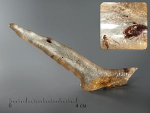 Копал. Мадагаскарский копал с инклюзами, 9,5-10,5 см