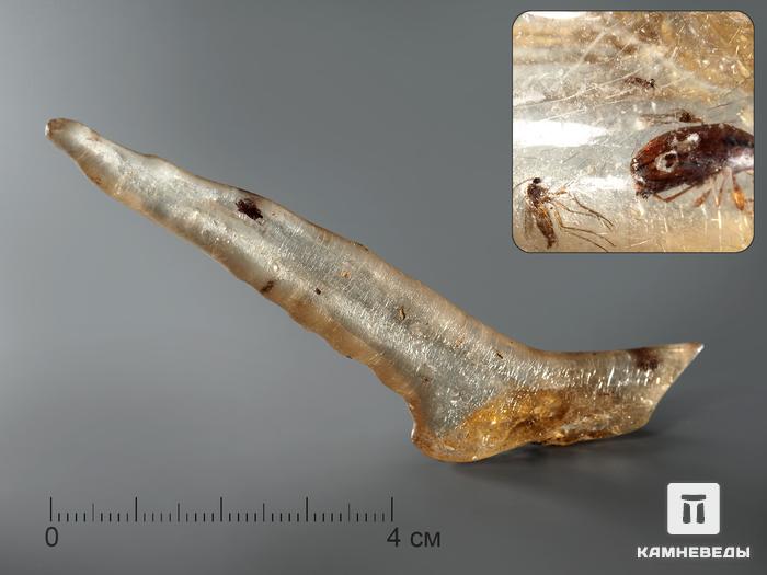 Мадагаскарский копал с инклюзами, 9,5-10,5 см, 1416, фото 1