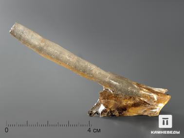 Копал. Мадагаскарский копал с инклюзами, 8-10 см