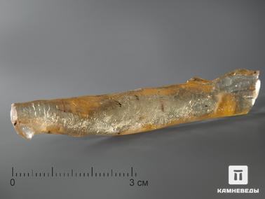 Копал. Мадагаскарский копал с инклюзами, 8х1,5 см