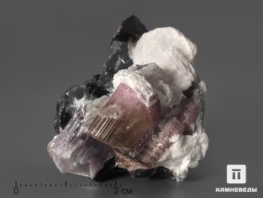 Турмалин, Эльбаит, Раухтопаз. Турмалин (эльбаит) с лепидолитом и раухтопазом, 3,3х3х2,9 см