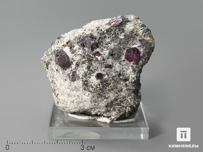 Кристаллы корунда красного в кристаллическом сланце, 4,8х3,8х3,4 см, 1500, фото 1