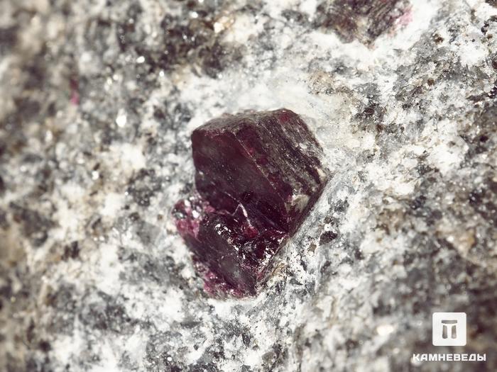 Кристаллы корунда красного в кристаллическом сланце, 5,6х5,5х4 см, 1503, фото 2