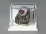 Кристалл красного корунда в кристаллическом сланце, 2,7х2,4х2,2 см, 1515, фото 2