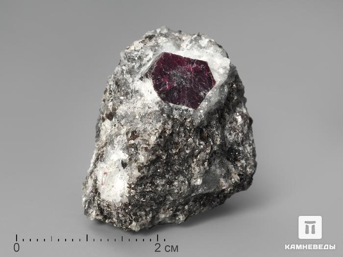 Кристалл красного корунда в кристаллическом сланце, 2,7х2,4х2,2 см, 1515, фото 1