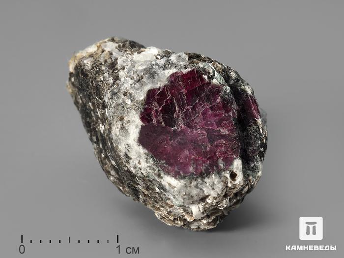Красный корунд в кристаллическом сланце, 3х1,8х1,6 см, 1516, фото 1
