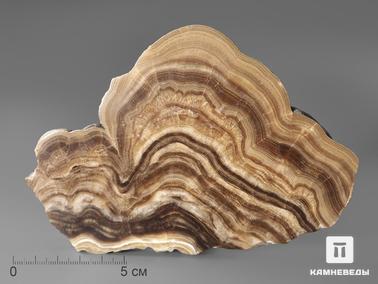 Оникс мраморный. Оникс мраморный (медовый), полированный срез 15,5х10,6х0,9 см