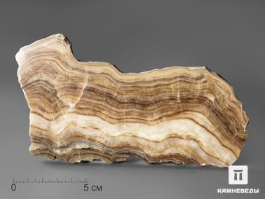 Оникс мраморный. Оникс мраморный (медовый), полированный срез 14-16 см