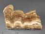 Оникс мраморный (медовый), полированный срез 14-16 см, 1858, фото 2