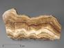 Оникс мраморный (медовый), полированный срез 14-16 см, 1858, фото 3